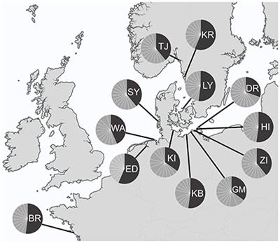 Genetic Population Structure and Demographic History of the Widespread Common Shipworm Teredo navalis Linnaeus 1758 (Mollusca: Bivalvia: Teredinidae) in European Waters Inferred from Mitochondrial COI Sequence Data